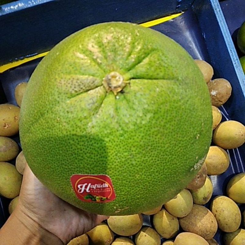 

pamelo madu