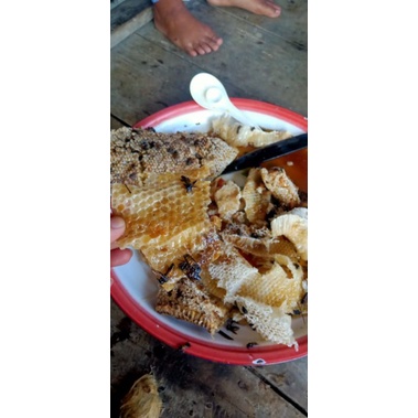 

MADU HUTAN ASLI 100%