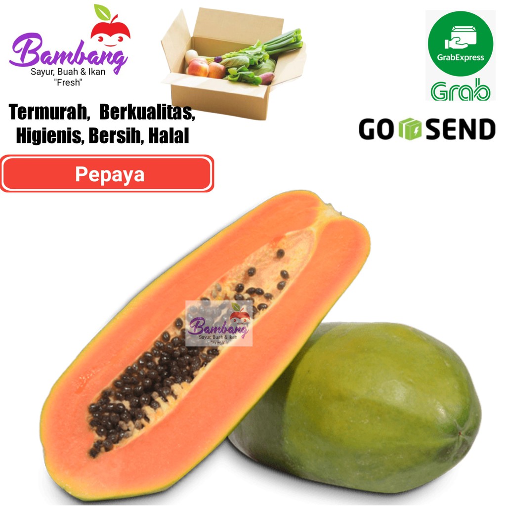 

pepaya matang buah paya