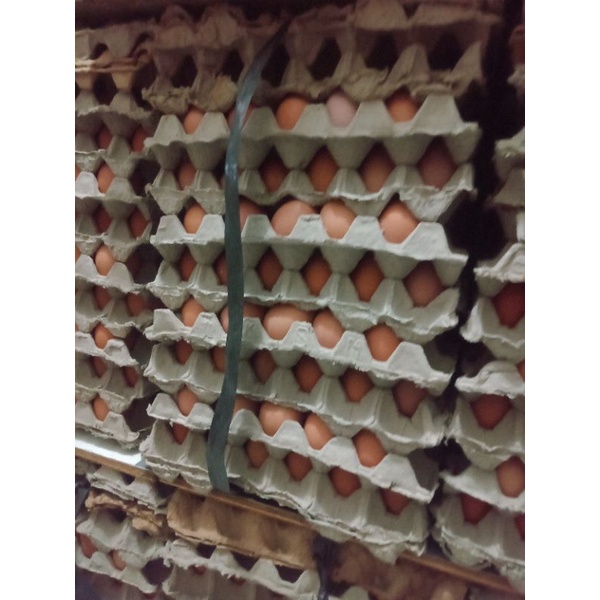 

paket murah telur negeri 15kg 1 ikat / 1 peti