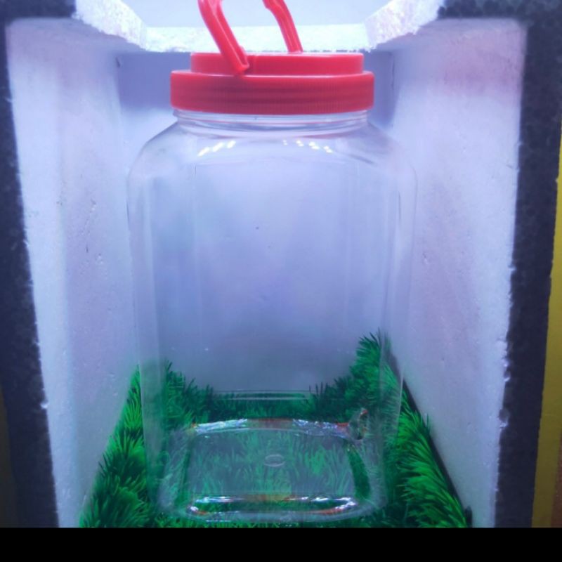 Toples plastik 4 liter/cupang/kue/kerupuk