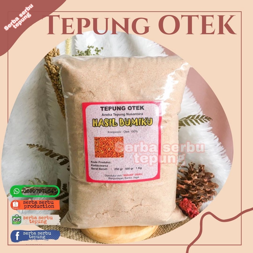 

Tepung Otek (1kg)|Bahan campuran kue|MPASI|MPASI organik