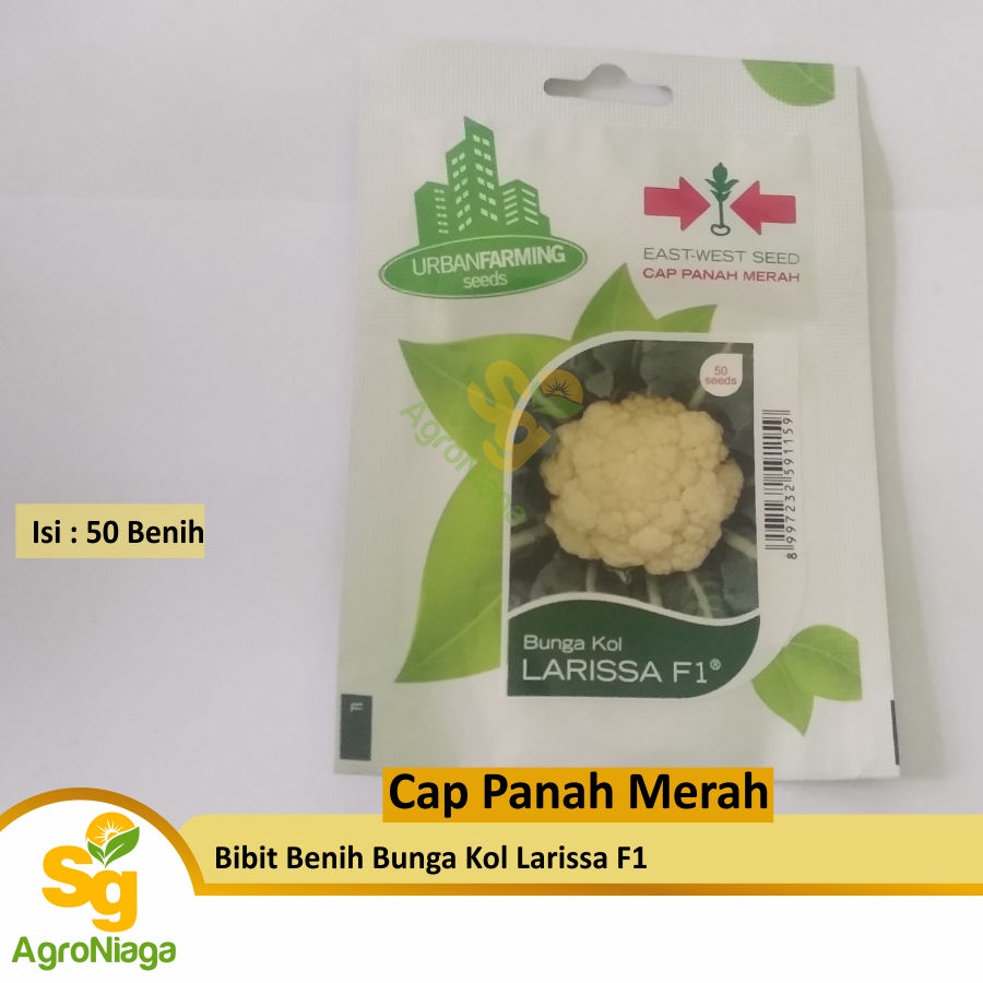 Bibit Benih Bunga Kol Larissa F1 Cap Panah Merah