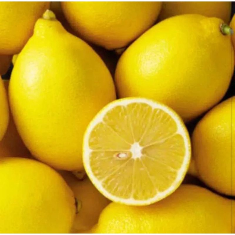 

LEMON IMPORT fresh 500 gram