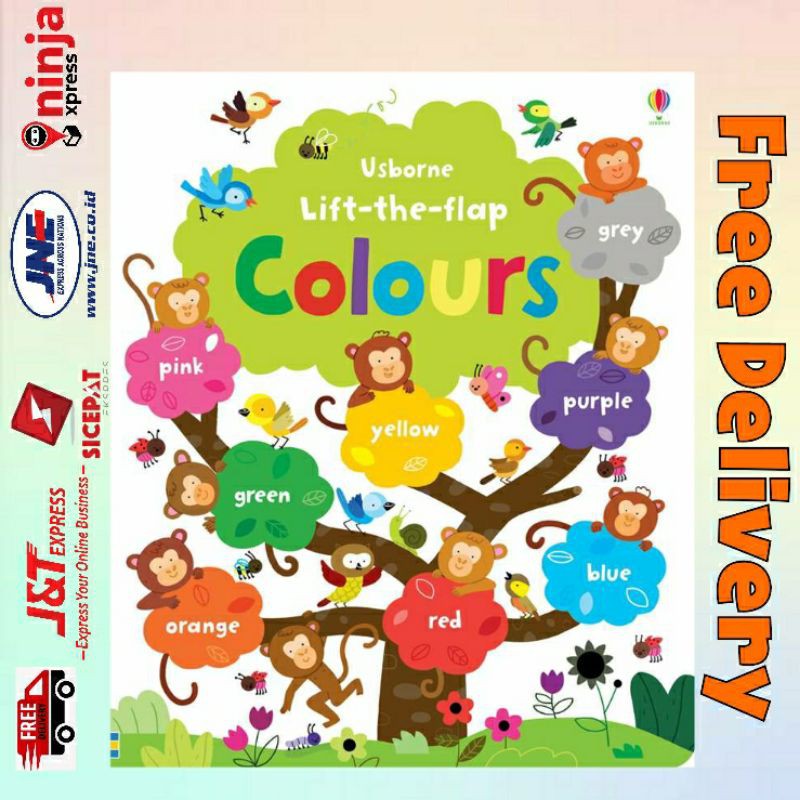 Usborne Lift-the-flap Colours