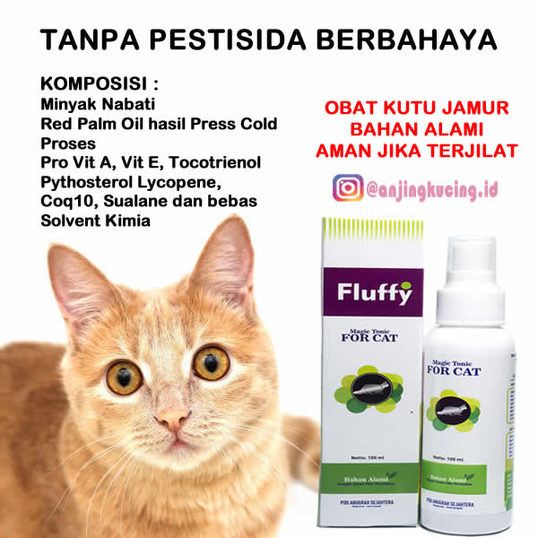 Obat Jamur Dan Kutu Kucing Fluffy Cat Bahan Alami Tanpa Pestisida Aman 30 Ml Shopee Indonesia