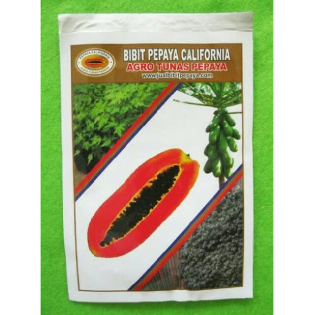 Benih Agro Tunas Pepaya California Pack 1 Gram