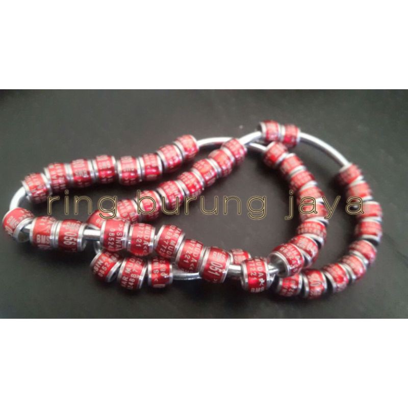 ring burung mk donat dara merpati