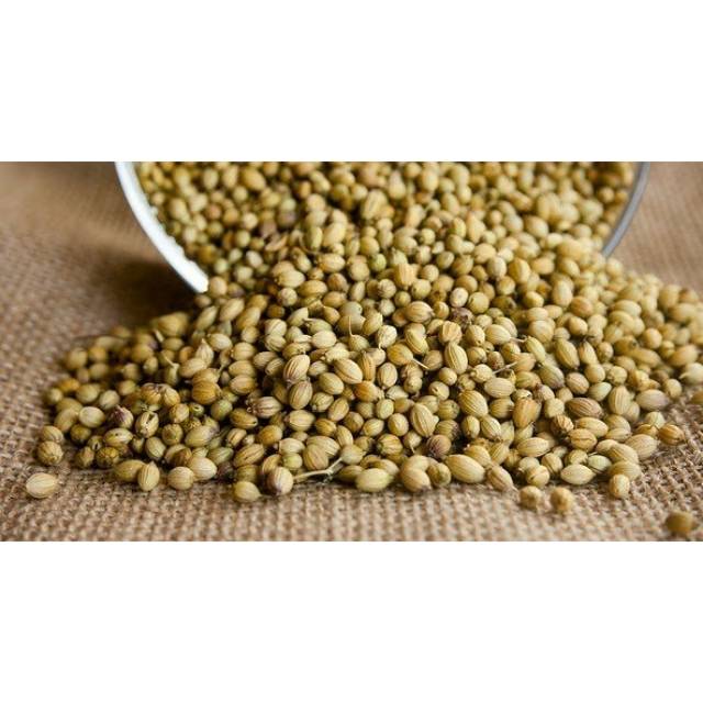 

Ketumbar 100gr / Biji Ketumbar Super / Coriander Seeds / Biji Ketumbar Sulawesi Selatan / Coriandrum sativum / Toko Tepi