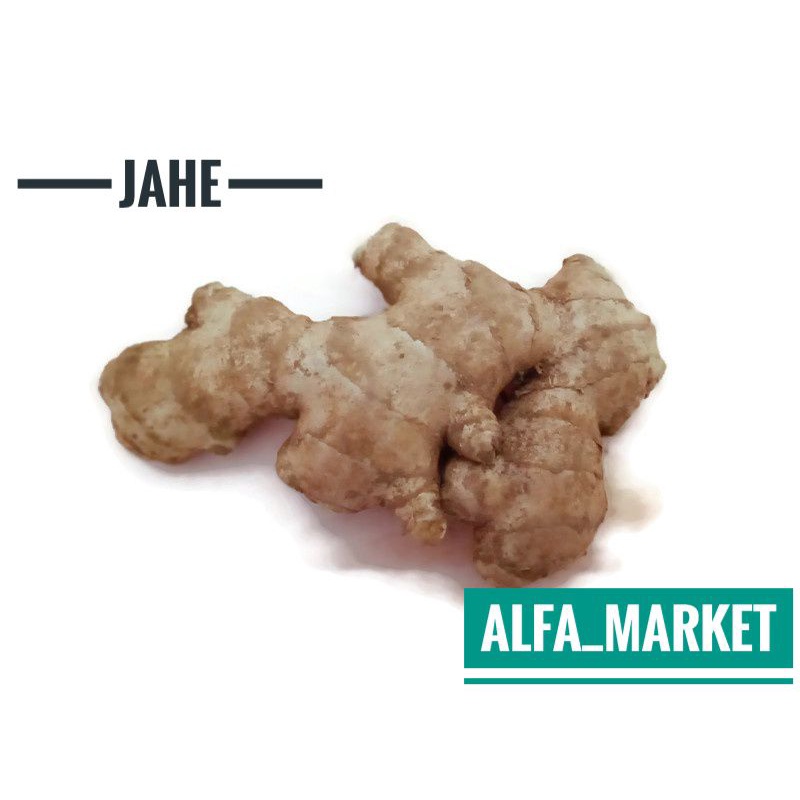 

JAHE GAJAH JAHE PUTIH REMPAH REMPAH BUMBU DAPUR