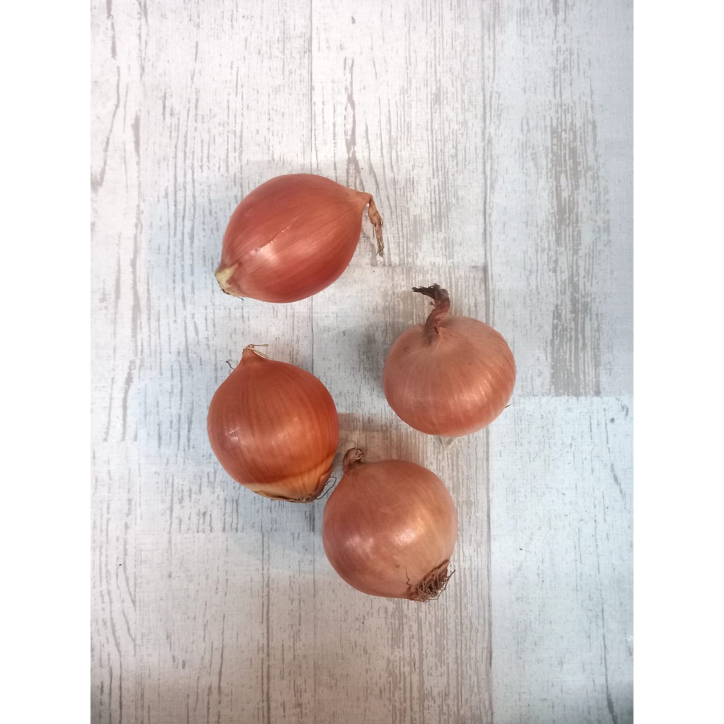 

BAWANG BOMBAY -+ 1KG