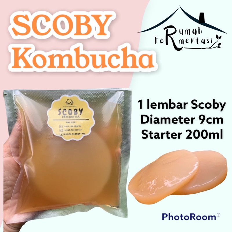 

SCOBY KOMBUCHA / BIBIT KOMBUCHA (KUALITAS PREMIUM)