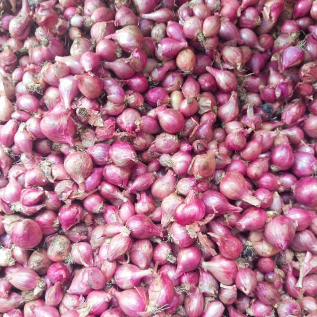 

Bawang merah murah besar