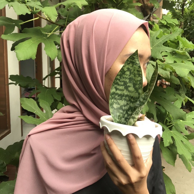 pashmina ceruty baby doll kerudung pasmina hijab cerutty nude warna soft