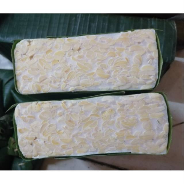 

Tempe kotak jumbo ukuran 1/2 kotak