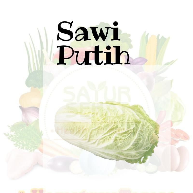 

Sawi Putih 500Gr sd 1 Kg