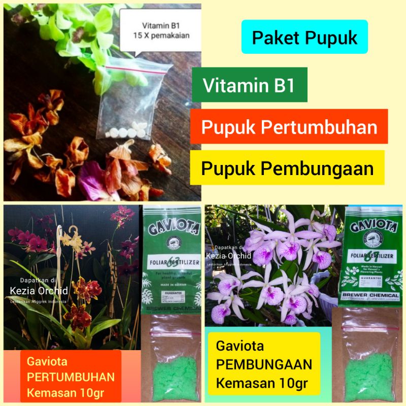 Vitamin B1, Gaviota 63 Pupuk Pertumbuhan, Gaviota 67 Pupuk Pembungaan