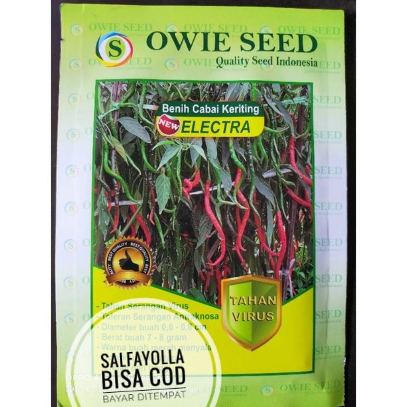 Benih Cabe Keriting Elektra Owie Seed