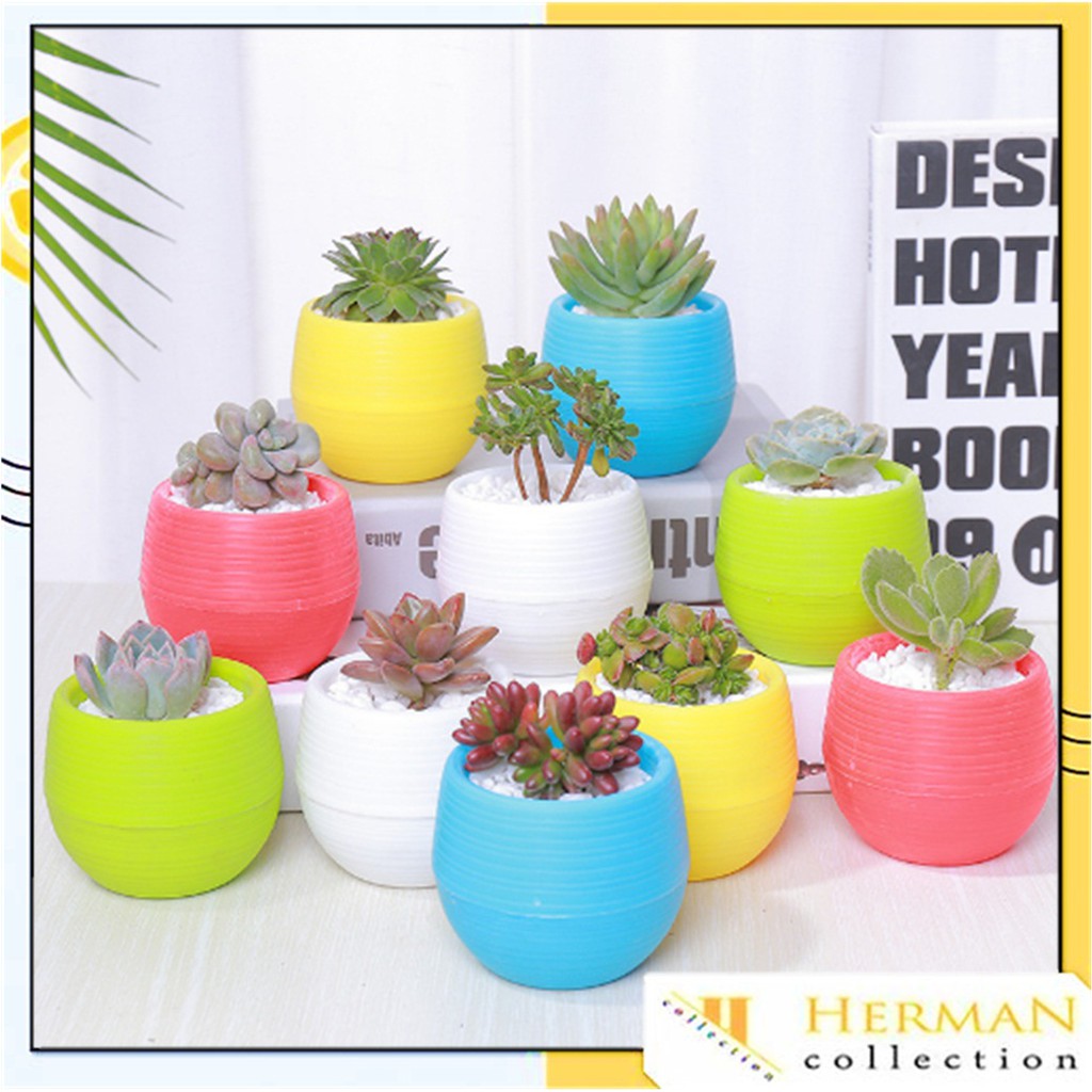 HC Pot Bunga Mini Bahan Plastik Untuk Dekorasi Rumah POT HC Pot Bunga Mini Bahan Plastik Untuk Dekorasi Rumah POT