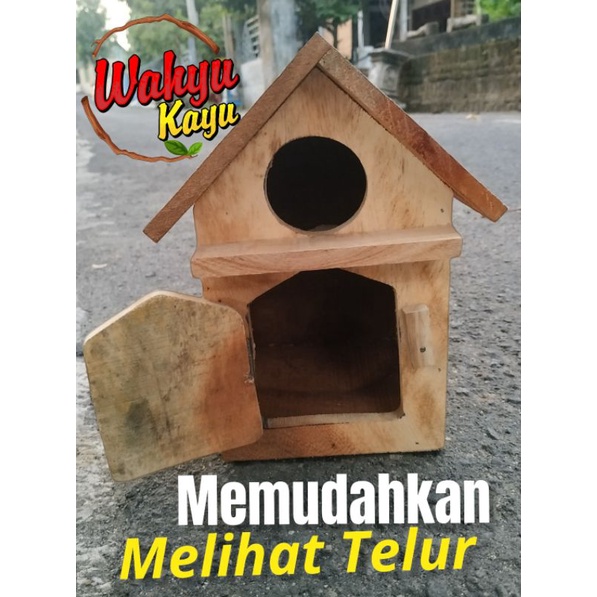 GLODOK RUMAH PARKIT LOVEBIRD KAYU TEMPAT BERTELUR TERNAK