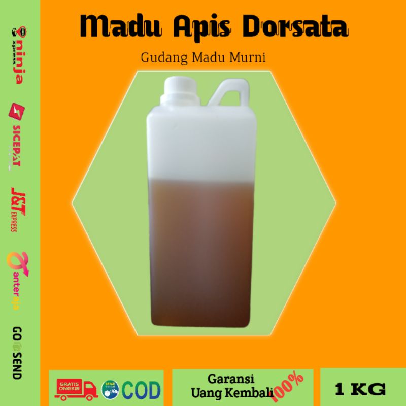 

Madu Asli Murni Apis Dorsata 1 KG Pure Raw Honey 100% Madu Kesehatan Organik Madu Hutan Sumatera