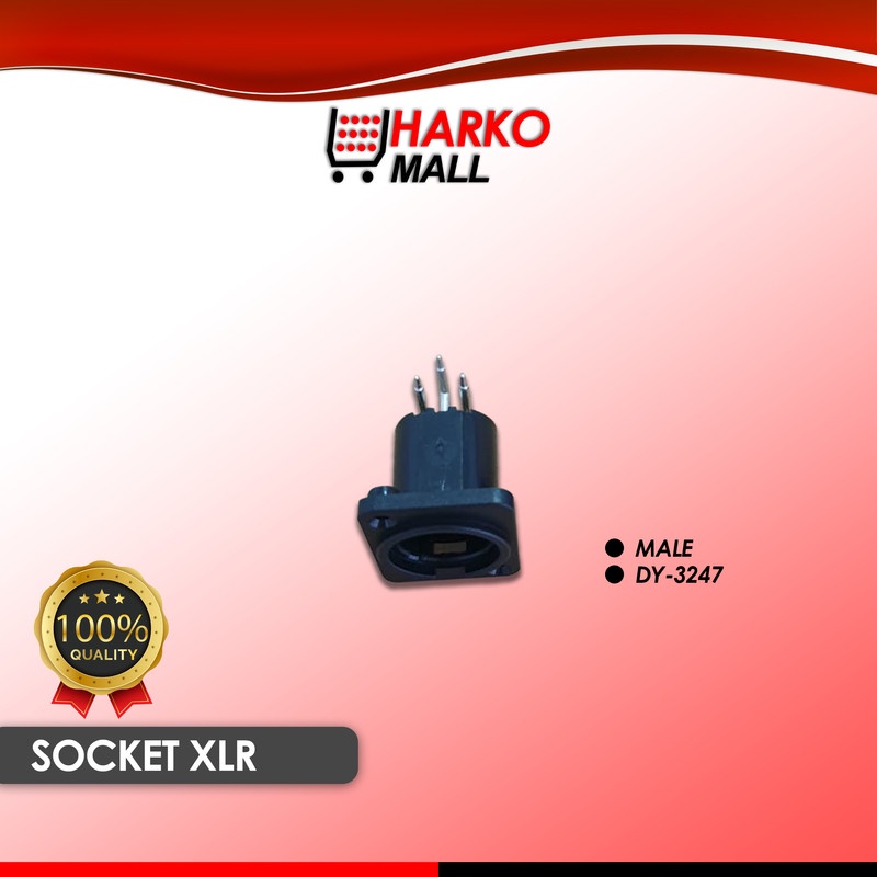 Socket XLR MALE DY-3247