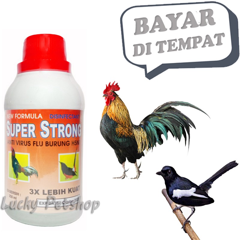 

ANTI VIRUS BURUNG AYAM H5N1 3X SUPER STRONG 250 ML