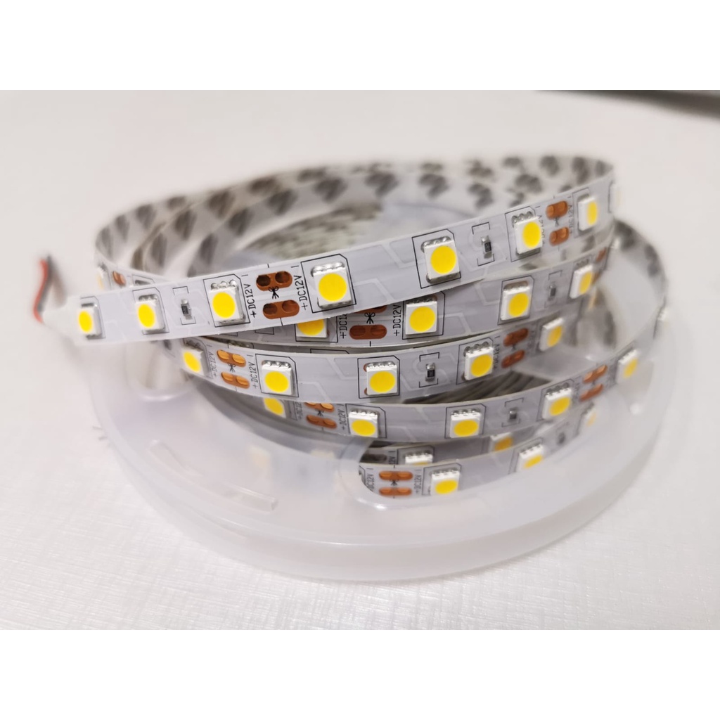 Led Strip 5050 IP33 12V