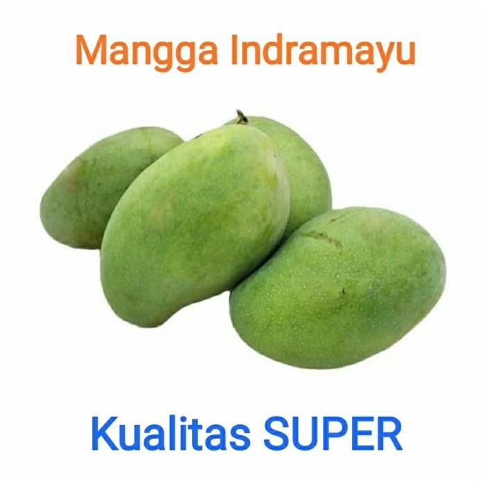 

Mangga Indramayu per 1 kg - Buah Segar