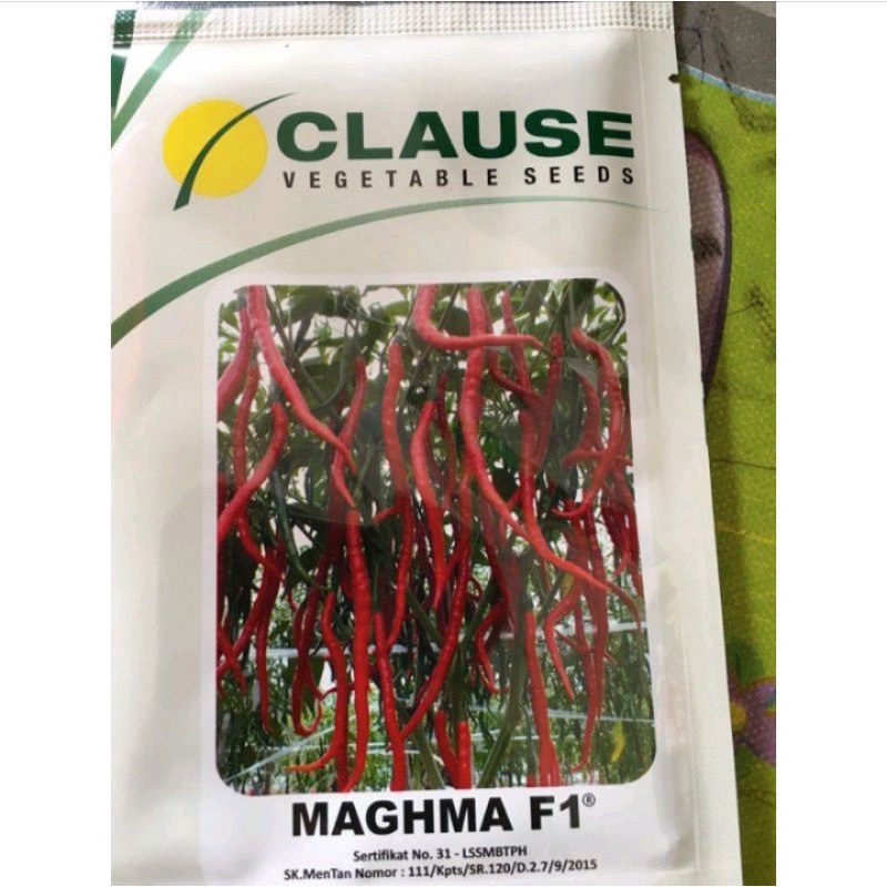 Benih/Bibit Cabe Keriting Maghma F1 | 10gram