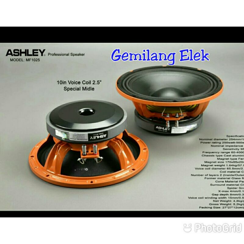 Speaker ASHLEY 10 inch MF1025