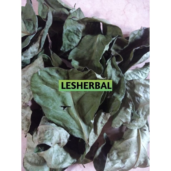 

daun salam kering 50 lembar