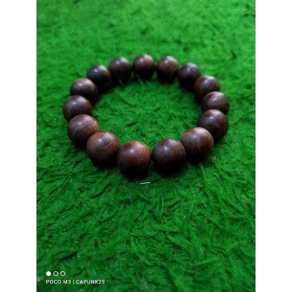 gellang gaharu buaya