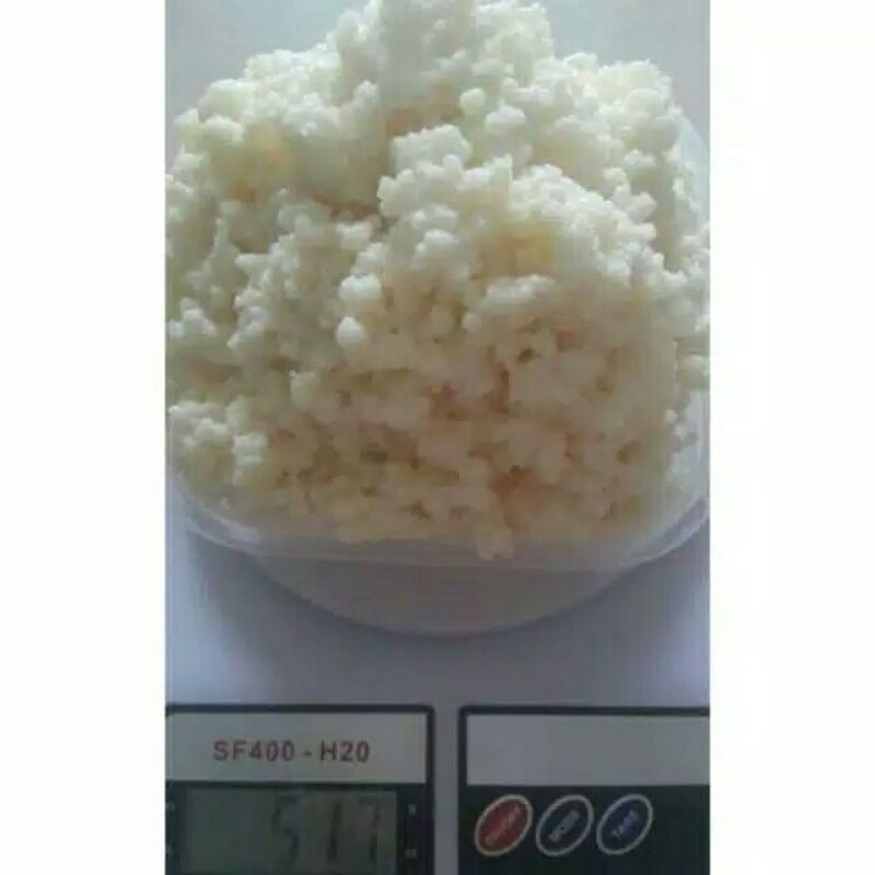 

GRAIN KEFIR 50g / Bibit Kefir Kualitas Premium