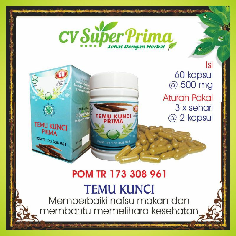 

HERBAL TEMU KUNCI