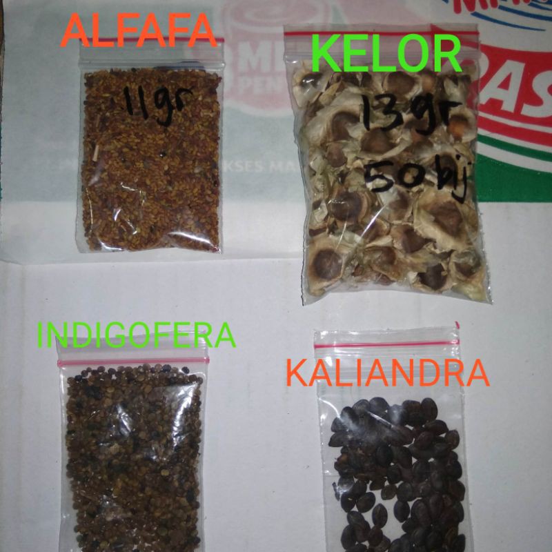 BENIH BIJI BIBIT INDIGOFERA KELOR KALIANDRA ALFAFA