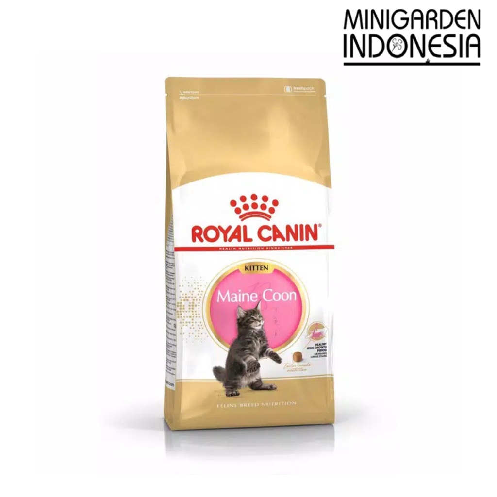 ROYAL CANIN KITTEN MAINE COON 400 GRAM dryfood makanan kucing catfood mainecoon 400GR