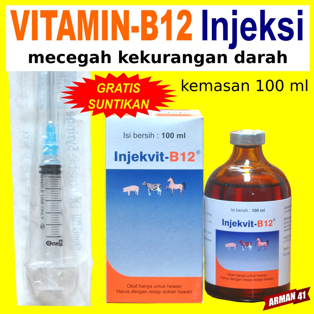 Jual Vitamin B12 Injeksi Larutan 100 ml MEDION GRATIS SUNTIKAN | Shopee