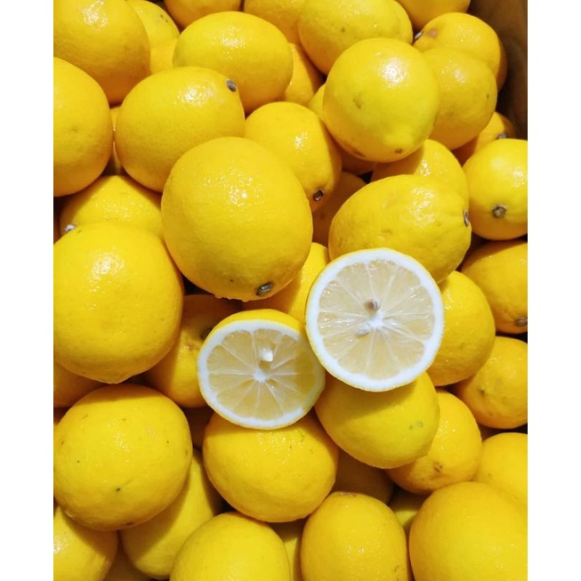 

jeruk lemon california grade A 1 KG