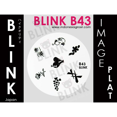 BLINK Image Plate B34- B45