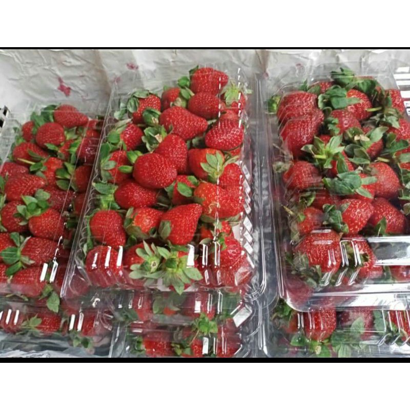 

Strawberry Fresh organic Grade A Premium Besar Impor