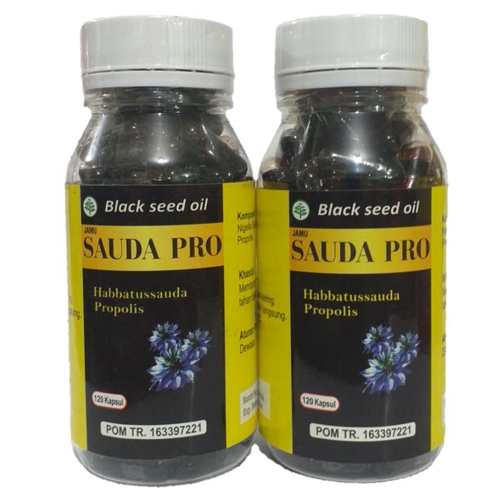 Sauda pro 120 Kps menjaga stamina