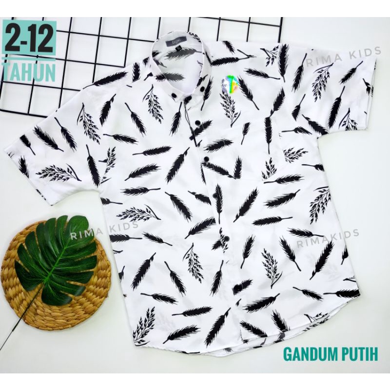 GRATIS ONGKIR/COD/MURAH Kemeja Anak motif anak laki laki atasan anak baju anak motif pantai usia 2-1