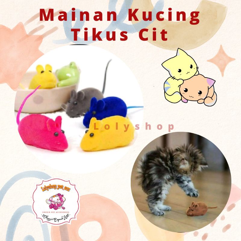 MAINAN KUCING TIKUS CIT