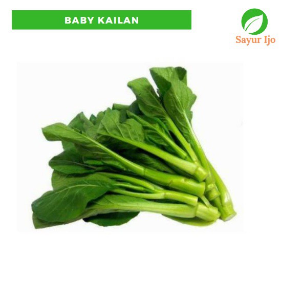 

Baby Kailan 230 - 250 Gram Fresh Gai Lan Baby Chinese Broccoli Sayur Sawi Hijau Segar