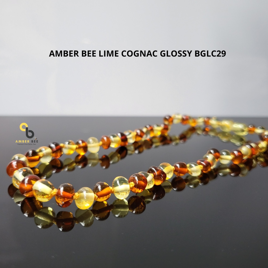 Kalung Anak Amber Premium Glossy Lime Cognac BGLC29 By Amber Bee