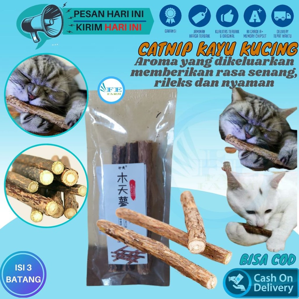 Catnip Kucing Stick Snack Mainan Kucing Natural Matabi Cat Toys Catnip FEFARM