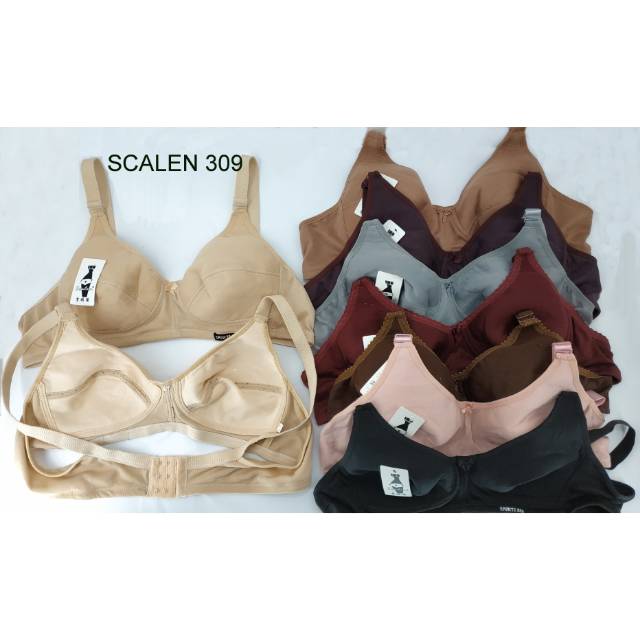 BH Scalen 309