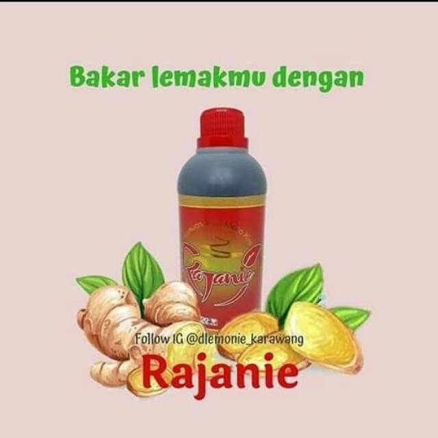 

Rajanie / Jahe / Minuman Kesehatan