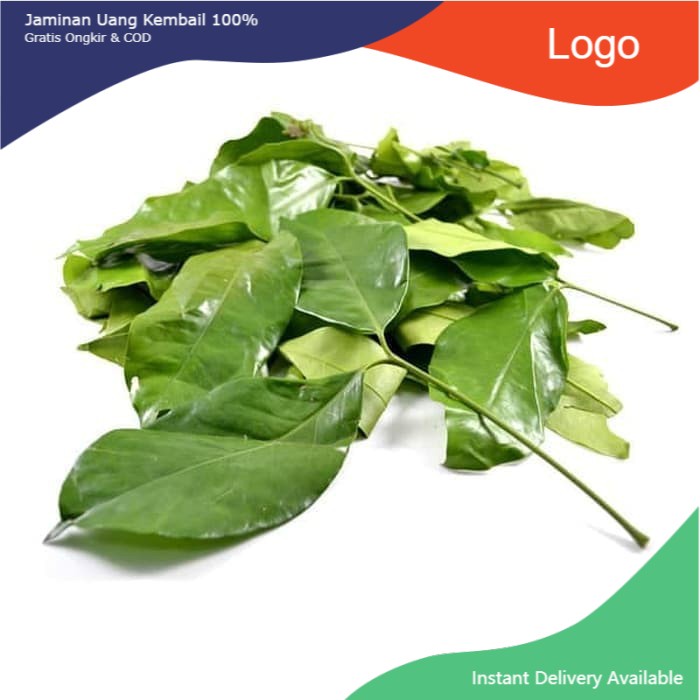

FCW - Daun Melinjo 100 Gram